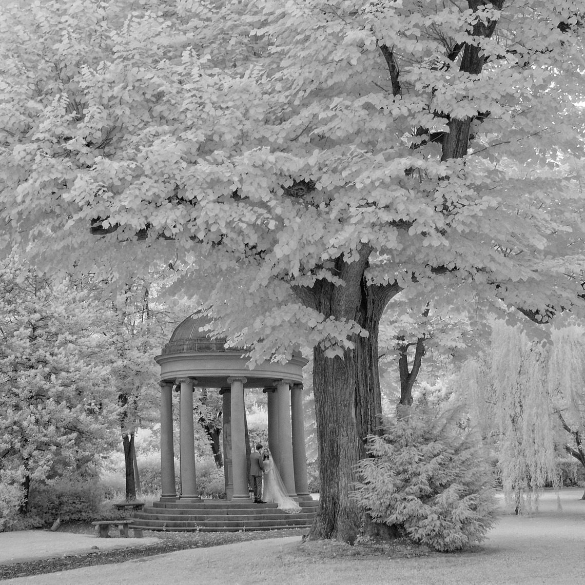 Photographer, wedding, infrared, Florence, Tuscany, Boboli Garden, Garda Lake, Sorrento, Amalfi, Vincigliata, Fiesole